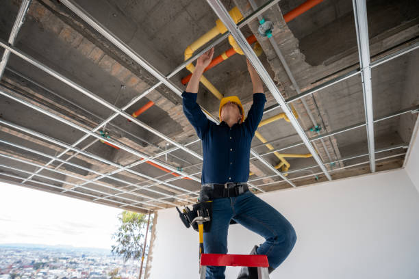 Best 24-Hour Plumber Near Me  in Walkersville, MD